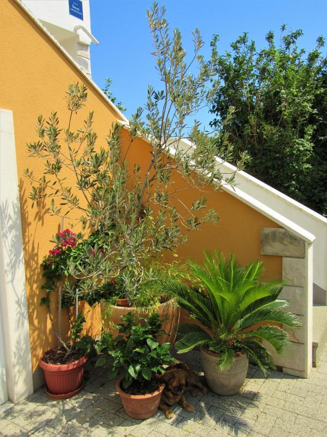 Apartment Andrea Orebić Dış mekan fotoğraf